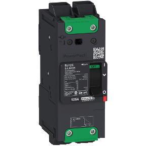 Schneider Electric Molded Case Circuit Breaker; 2-Pole; 60A; 600VAC/250VDC; 18kA @ 480VAC; Lugs - Both Ends; UL 489